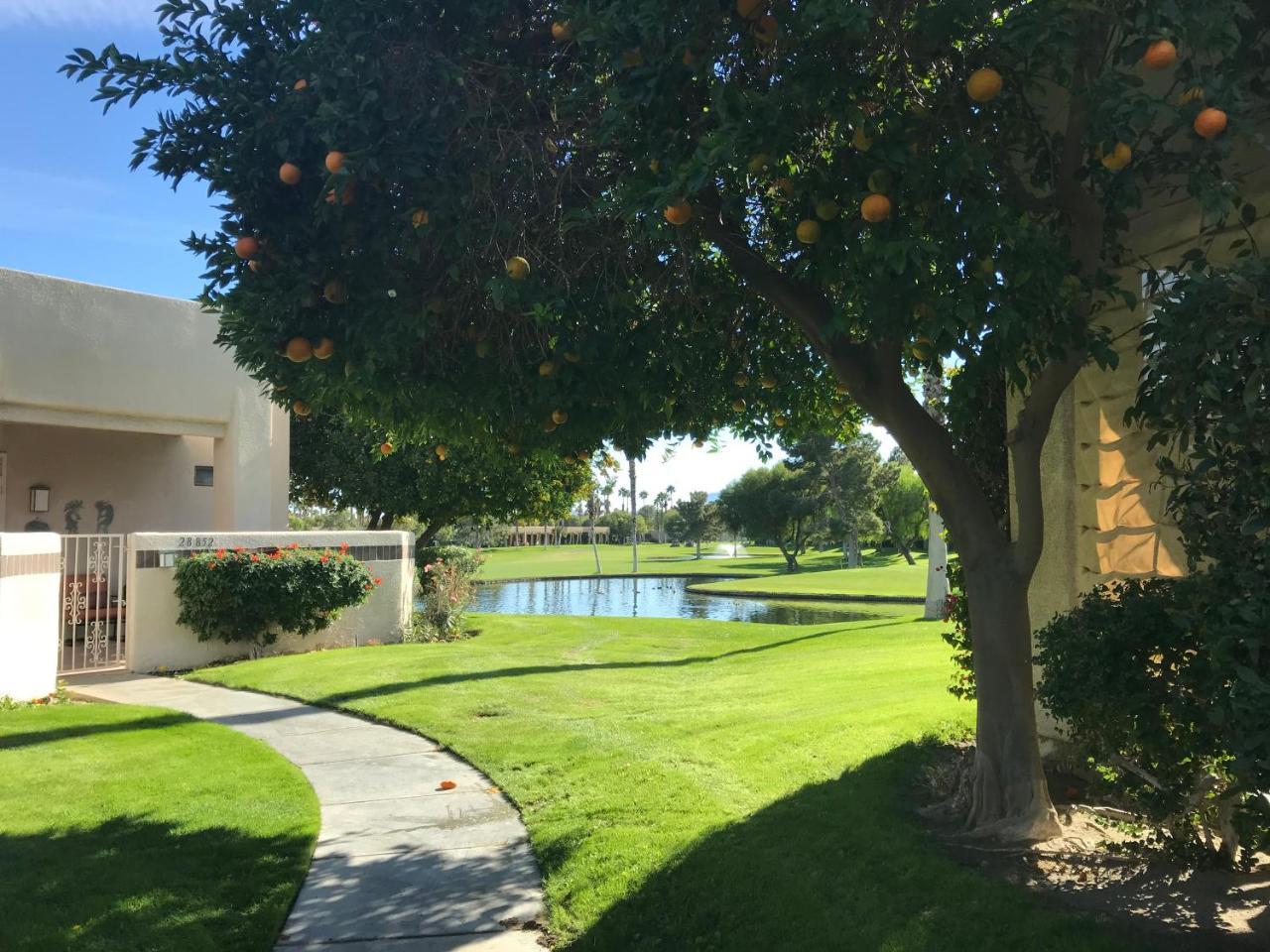 Palm Springs-Desert Princess Country Club Villa Cathedral City Dış mekan fotoğraf